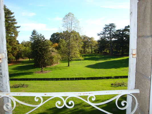 DSC01288.JPG