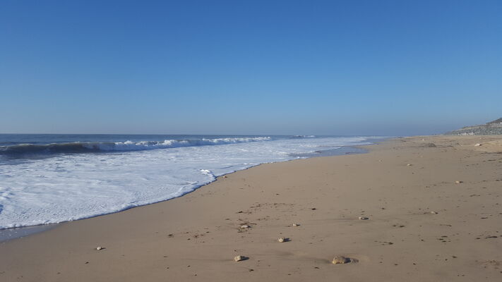 Plage.jpg
