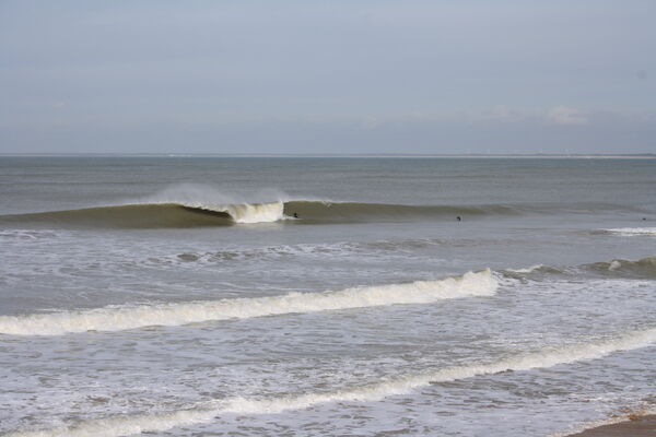 Swim-and-surf (9).JPG