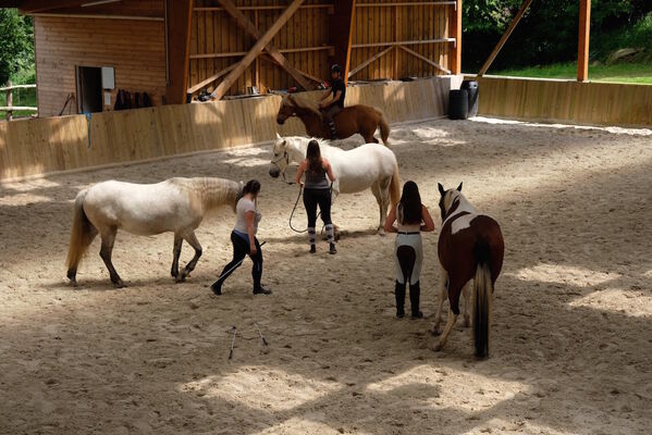 Centre_Equestre_Crinieres_Ouest_Lanvenegen (7).jpg