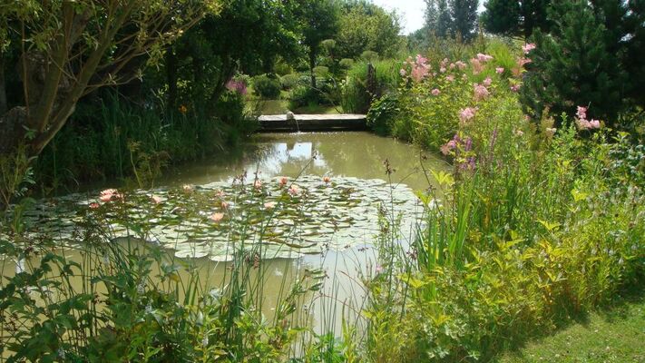 jardin bosselé3.JPG