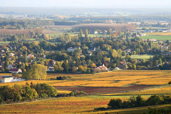 11-Vignes-Givry-automne-2017-JM (41).JPG