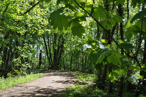 la-coulee-verte.jpg