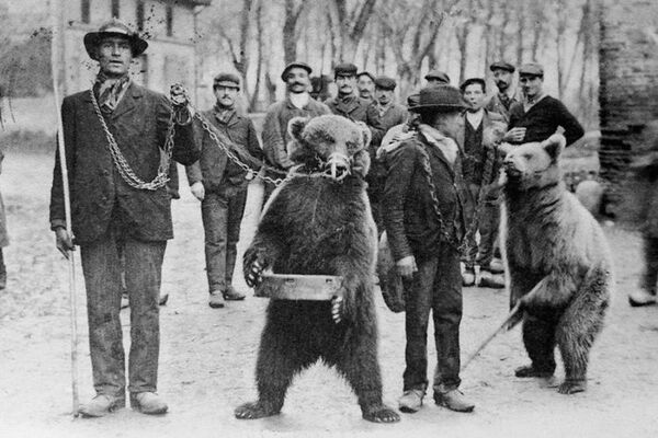 Paroles-d-ours.jpg