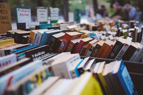 Bourse aux livres Seillac freddie-marriage-92621-unsplash.jpg