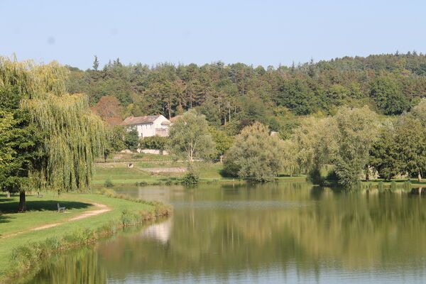 Mercurey-etang-peche-nature-OT (1).JPG