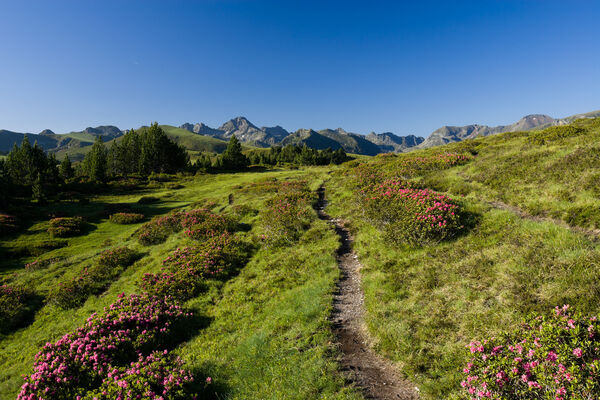 Beille sentier rando- CP A.Baschenis 2015-2020.jpg