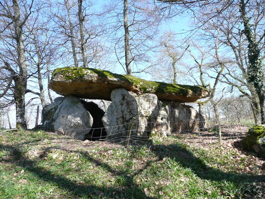 5 mars 2008 147.jpg