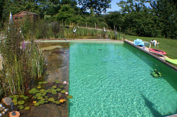 saint-paul-en-gatine-gites-au-cocorico-au-marcassin-piscine-bis.jpg
