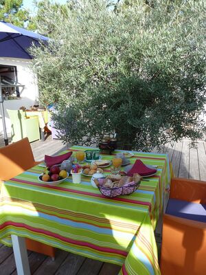 PDJ Terrasse-Olivier.jpeg