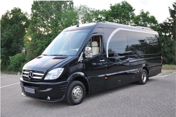 1-vip-mini-bus-2.jpg