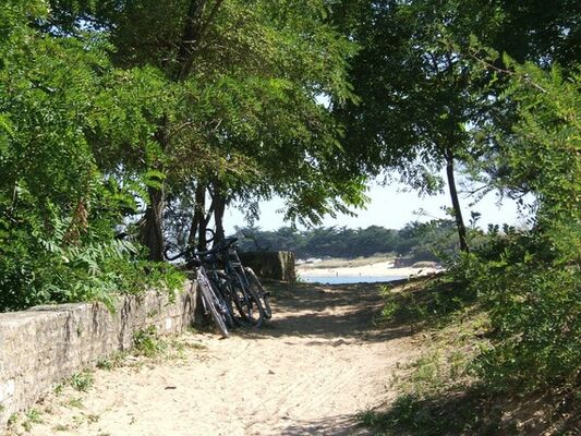 Photo-vy-lo-pour-site-CYCLO-SURF-1-.JPG