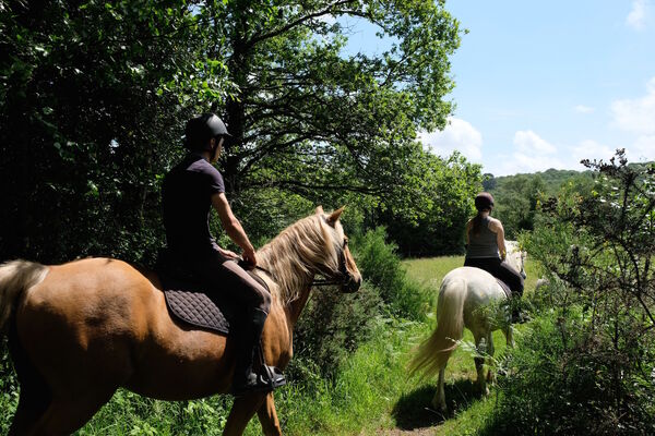Centre_Equestre_Crinieres_Ouest_Lanvenegen (10).jpg
