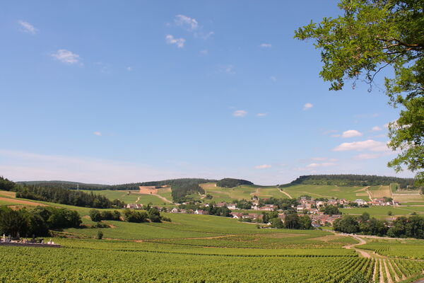 Mercurey-vin-vignes-paysages-vignobles-OT (41).JPG