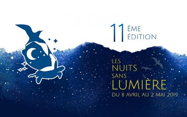 nuit sans lumière 11 ème édition.jpg