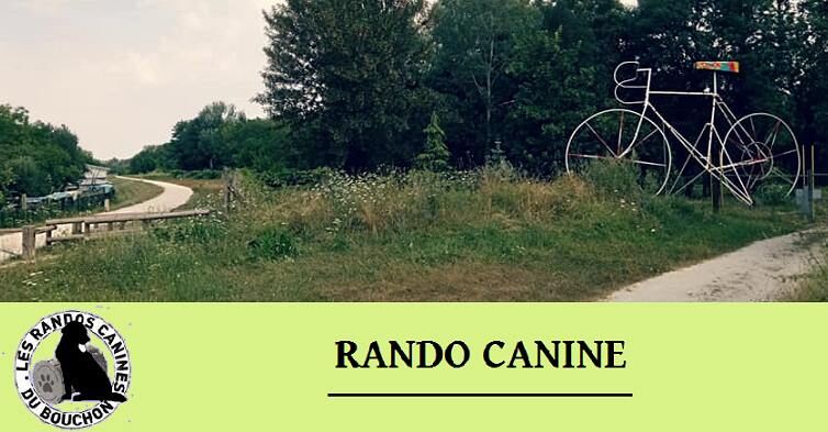 Rando canine - Foicy.jpg