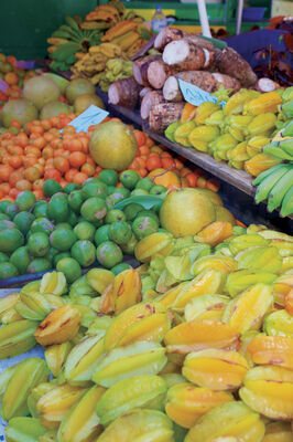 marche01 - CREDIT IRT - emmanuel_virin_ret.jpg