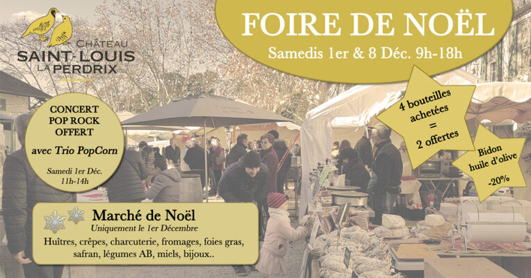 Affiche Foire de Noël Château St Louis La Perdrix.jpg