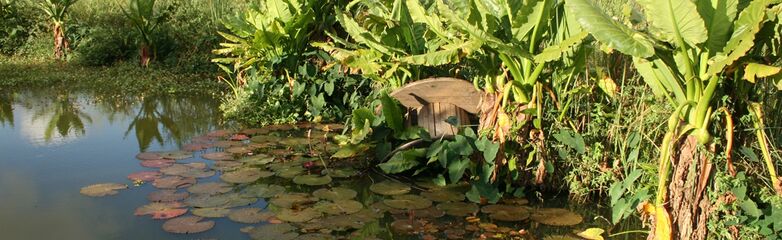 Marronnages-à-l’Etang- (1).jpg