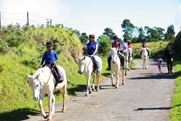 zarlor quiétude à cheval pack 3-2.jpg