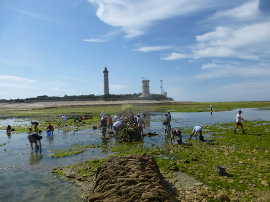 peche à pied.JPG