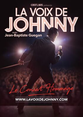 ConcertVoixJohnny 7 juillet.jpg