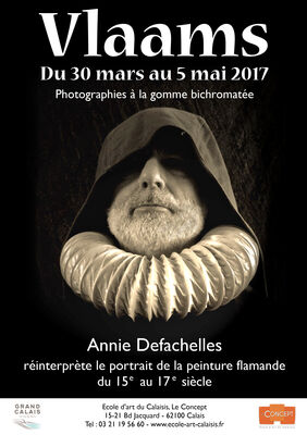 affiche expo Vlaams .jpg