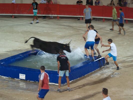 toro 1.jpg