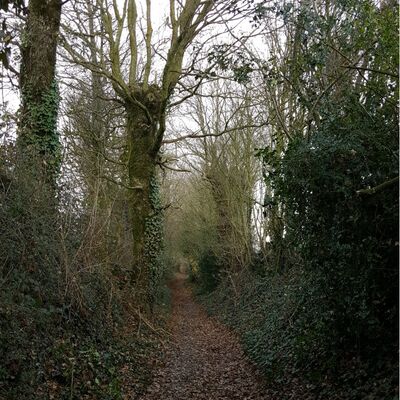 cirieres-sources-de-largent-rando-pedestre.jpg