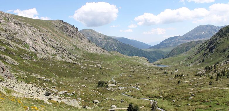 Etang de comte.jpg
