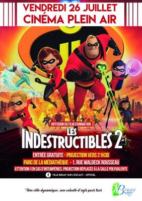 indestructibles.jpg
