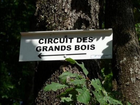 circuit_des_grands_bois.jpg