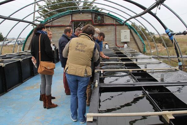 2Visite-a-la-ferme-des-baleines_opt.jpg