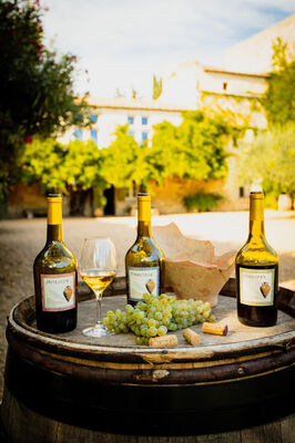00078-mas des tourelles - beaucaire-photo aspheries.jpg