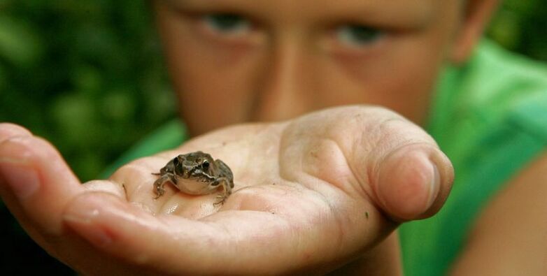 petit crapaud.jpeg