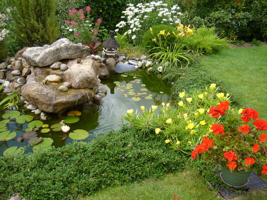 Bassin Fleurs .jpg