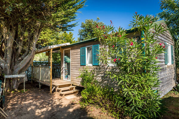 cottage.jpg