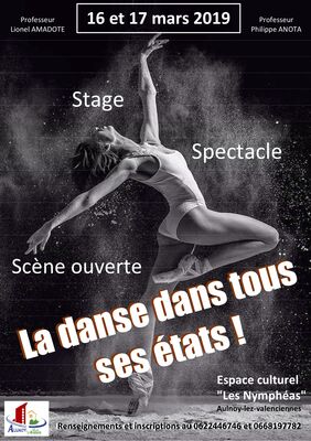 Danse dans tous ses +�tats.jpg