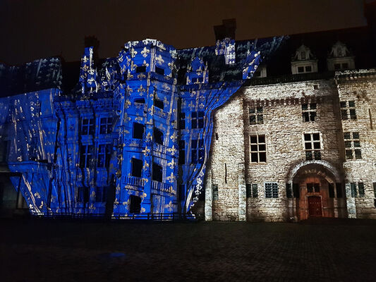 photo futé son et lumière Blois.jpg
