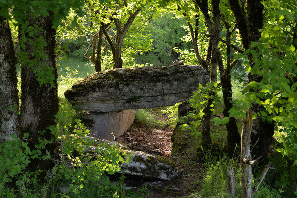 dolmen Joncas2.jpg