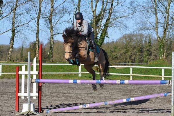 Poney_Club_Keraudrenic_Langonne (6).jpg