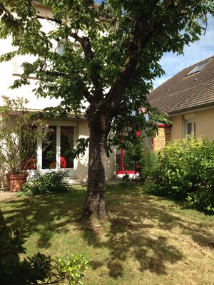 Jardin.JPG