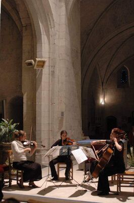 Festival_vacances_haydn_musique_chambre_La_Roche_Posay_3.jpg