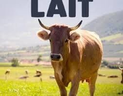 planète lait.jpg
