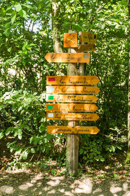 Accrobranche-24.jpg