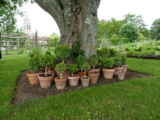 Jardin de Marta - Adriers - 2012 - ©Jardin de Marta (2).JPG