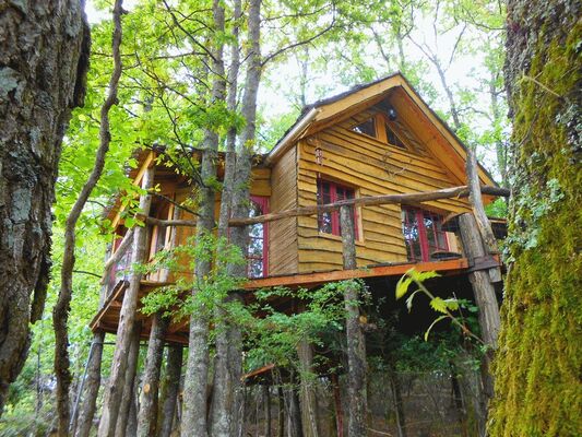 Cabane balcon des oiseau Castelneau.JPG