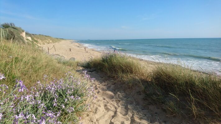 Plage.jpg