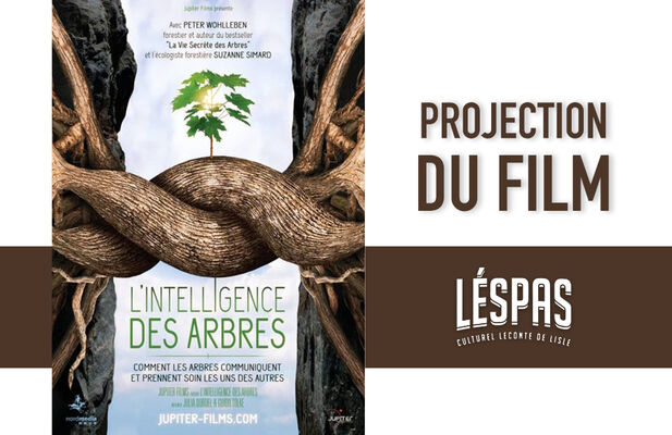 projection film l'intelligence des arbres.jpg