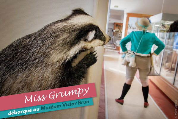Miss Grumpy débarque au Muséum Victor Brun_.jpg